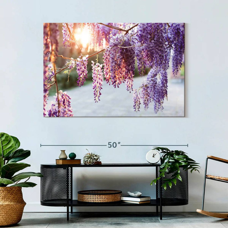 Harnek Wisteria Vine, H 32 po x l 48 po