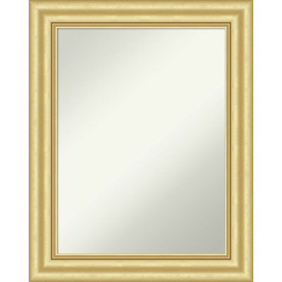 Sophia Non-Beveled Framed Bathroom Vanity Wall Mirror