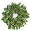 Magnolia Leaf Twig Wreath-1431627917