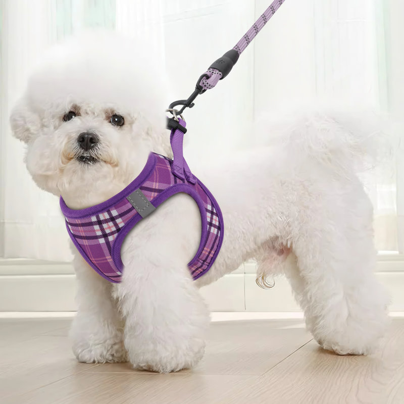 Ensemble de harnais et de laisse pour chien Mellal No-Pull Mesh, Mauve