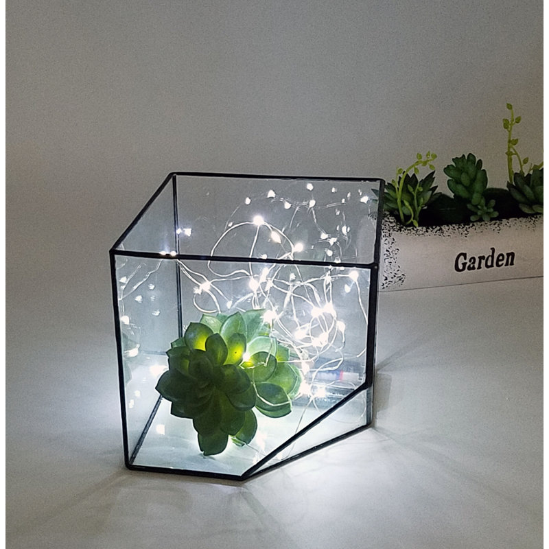 Northcutt Glass Indoor Terrarium