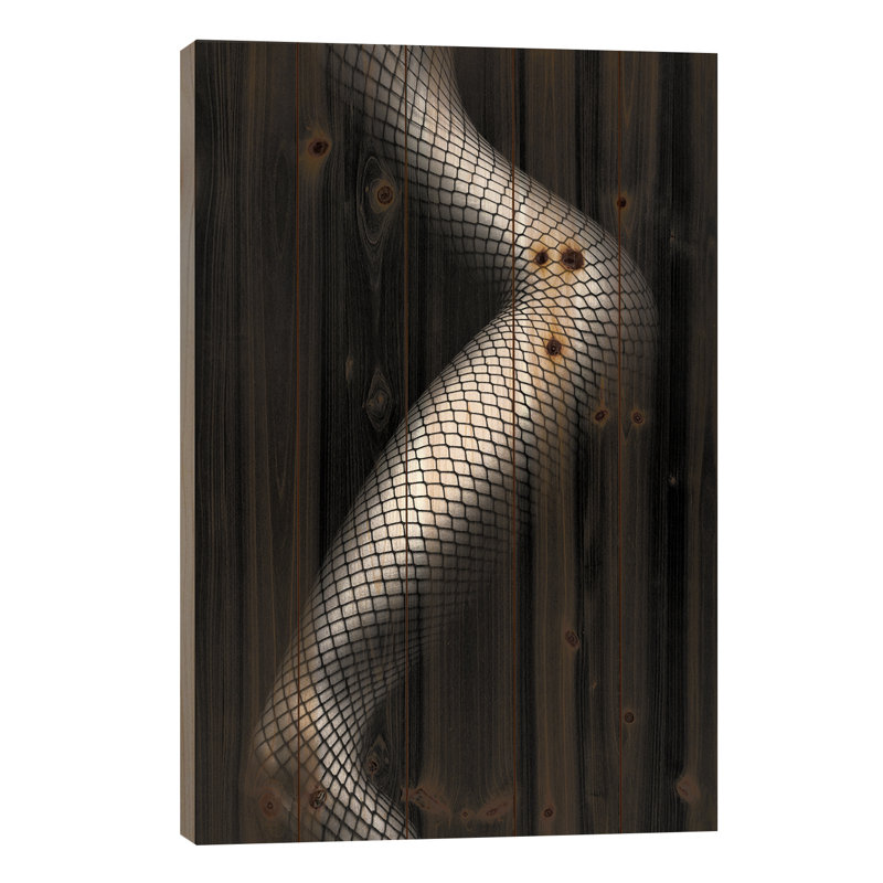 «Legs in Fishnet Stockings III» par Johan Swanepoel, impression sur bois sans cadre, L 18 po x H 26 po