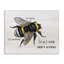 «Anatomy of Honey Bee Pun» par Daphne Polselli, reproduction d'art graphique-105258701-105258703