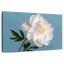 Fleur de pivoine blanche Harnek