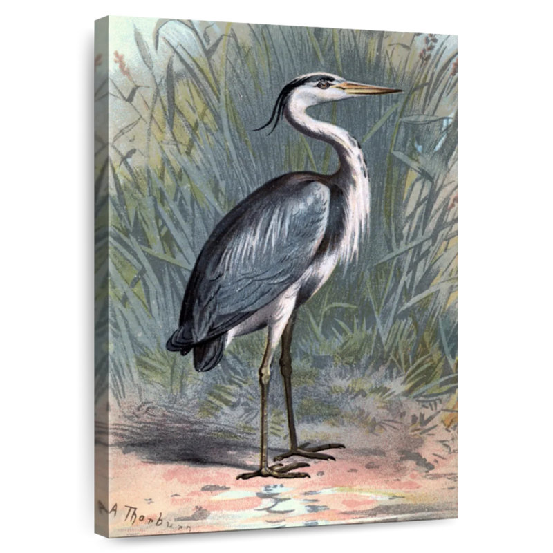 Brampt Heron, 45" H x 30" W