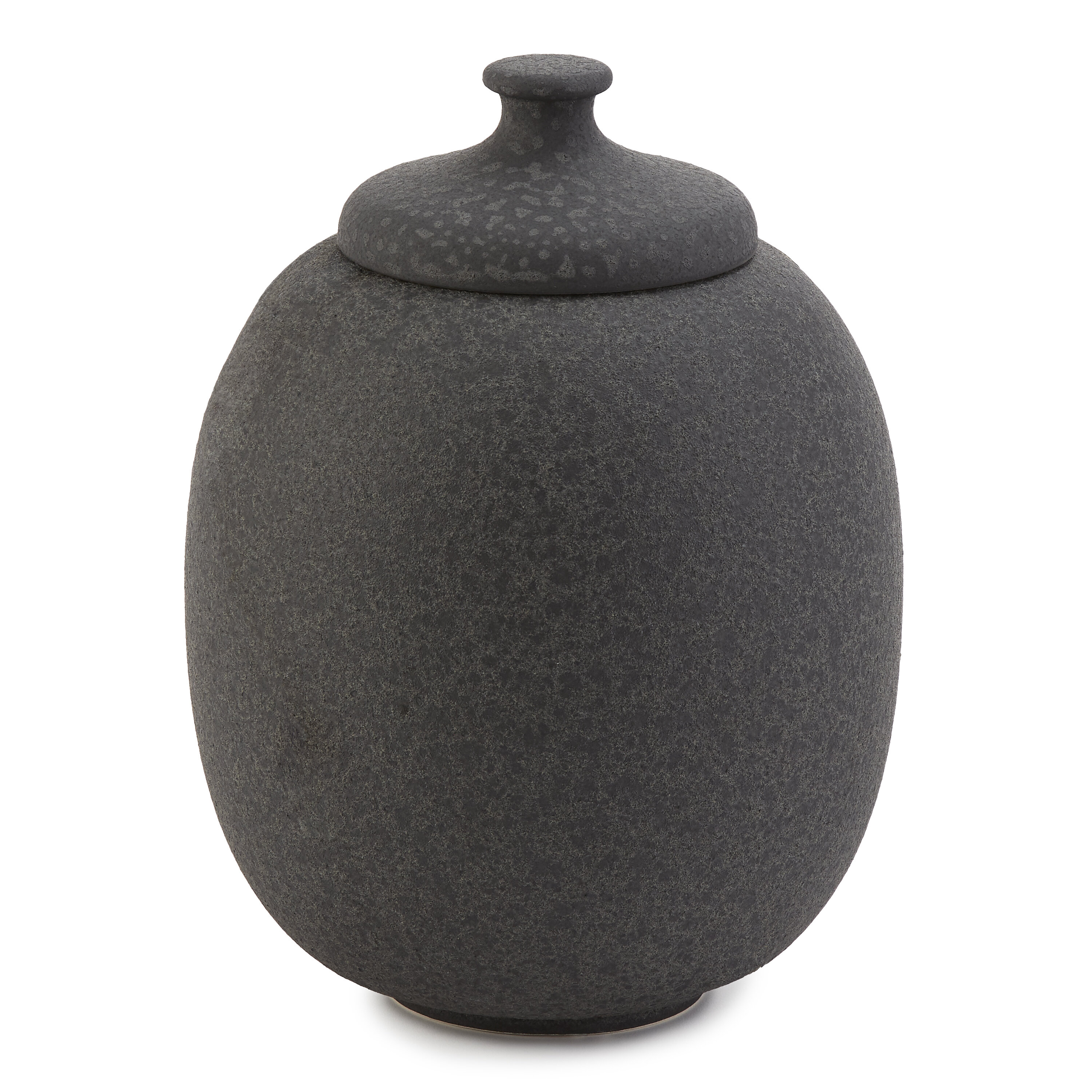 https://assets.wfcdn.com/im/79840686/compr-r85/1670/167029685/sanbo-ceramic-jar.jpg