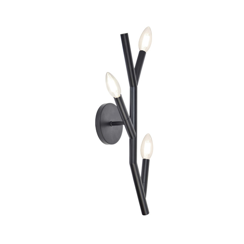 Danazia 3 Light Wall Sconce, Matte Black