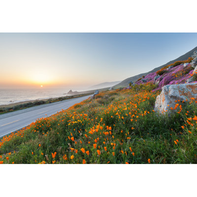 " Poppies In Big Sur "
