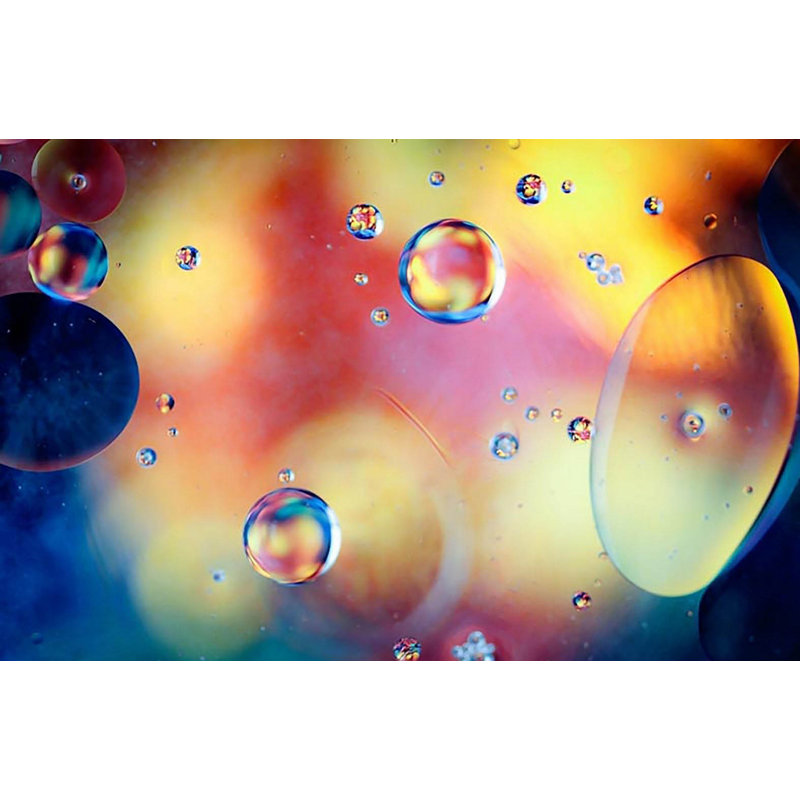 Sylvia Cook - Wrapped Canvas Print, 30cm H x 45cm W