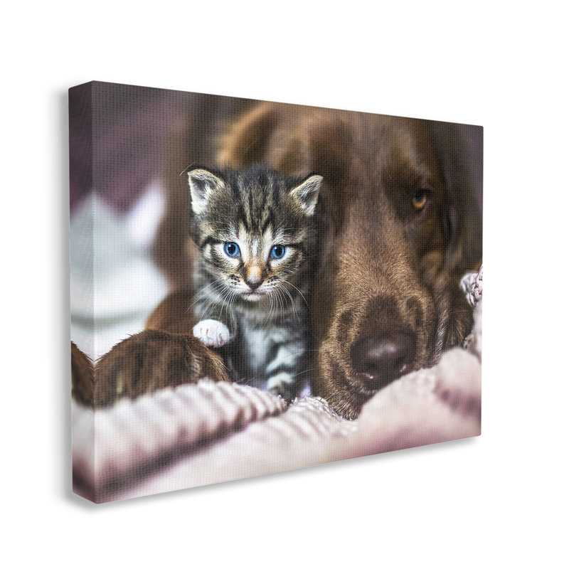 Chaton et chien se blottissant sur toile, par Natalie Grosse, H 16 po x l 20 po