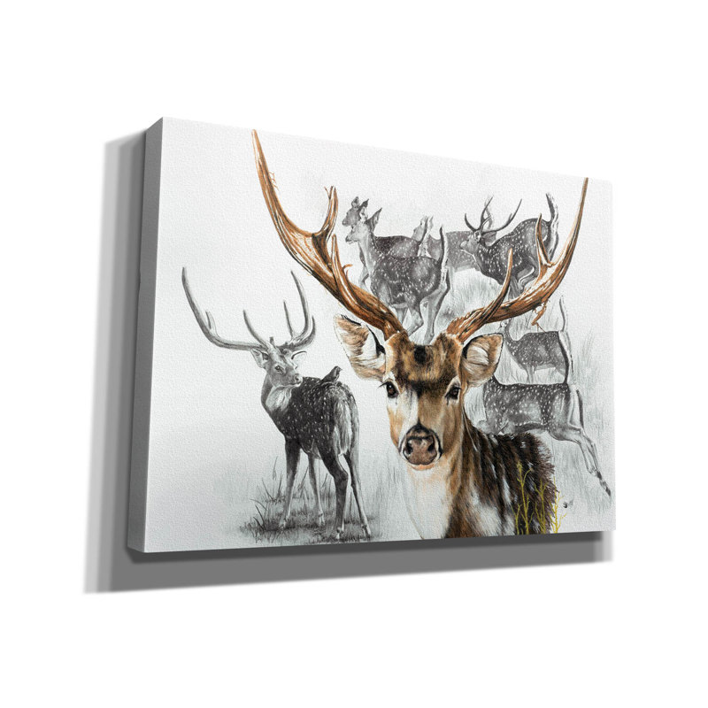 Axis Deer by Barbara Keith - Wrapped Canvas Print, 40" H x 54" W x 1.5" D