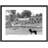 Stow-on-the-Wold, The Green C1955 by Francis Frith - Single Picture Frame Print-51339329