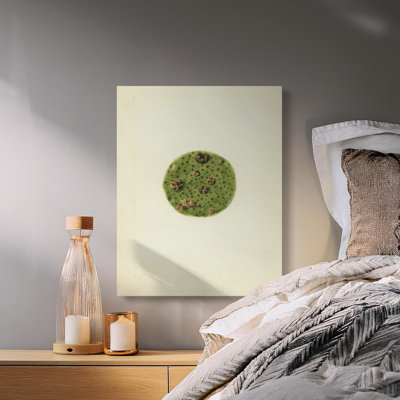 Hershman Wrapped Canvas Print Set