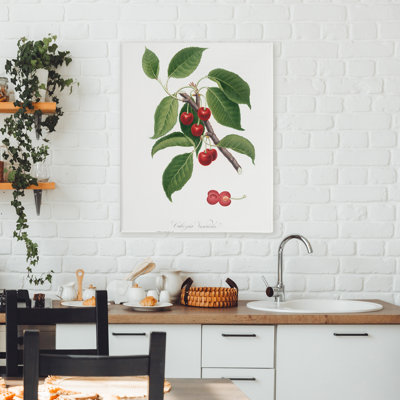 Étude latine de toile de cerisier, design par lettré et doublé