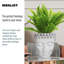 Buddha Head Small Planter, Concrete Effect Indoor Plant Pot, Face Flower Pot, Decorative Pot Cover-1120853925-1120853923