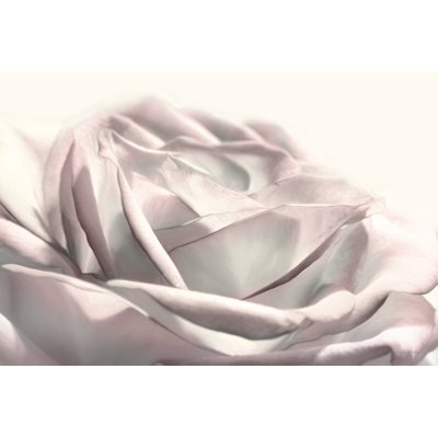 «Blush Rose II» par Lori Deiter - reproduction imprimée