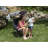 Folding Camping Chair-57606546