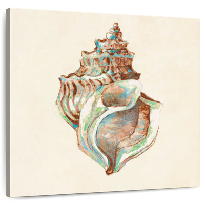 Coquillage bleu sarcelle Aletra I