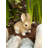 VIVID BUNNY FIGURINE