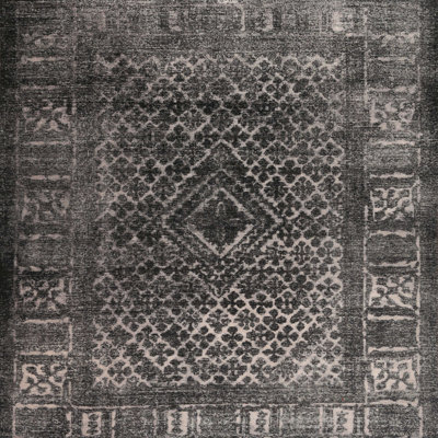 Polegate Oriental Indoor Rug