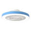 Ventilateur de plafond encastré noir de 20 po avec éclairage, profil bas, application et télécommande, moteur à courant continu silencieux à 6 vitesses, DEL à intensité variable pour la chambre à coucher-295176454-295176451-290089828