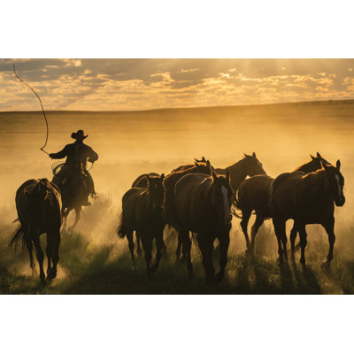 Tanasia Cowboy Jingle by PHBurchett - Wrapped Canvas Photograph