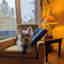 Photos des clients 1 de 2