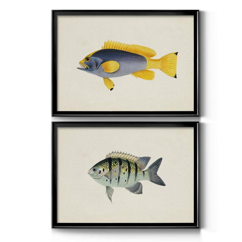 Collection de poissons tropicaux V - ensemble de 2 cadres photo, H 24,5 po x l 37 po x P 1 po, Noir