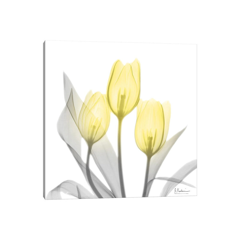 Brilliant Tulips I by Albert Koetsier - Wrapped Canvas Painting, 66.04 cm H x 66.04 cm W x 3.175 cm D