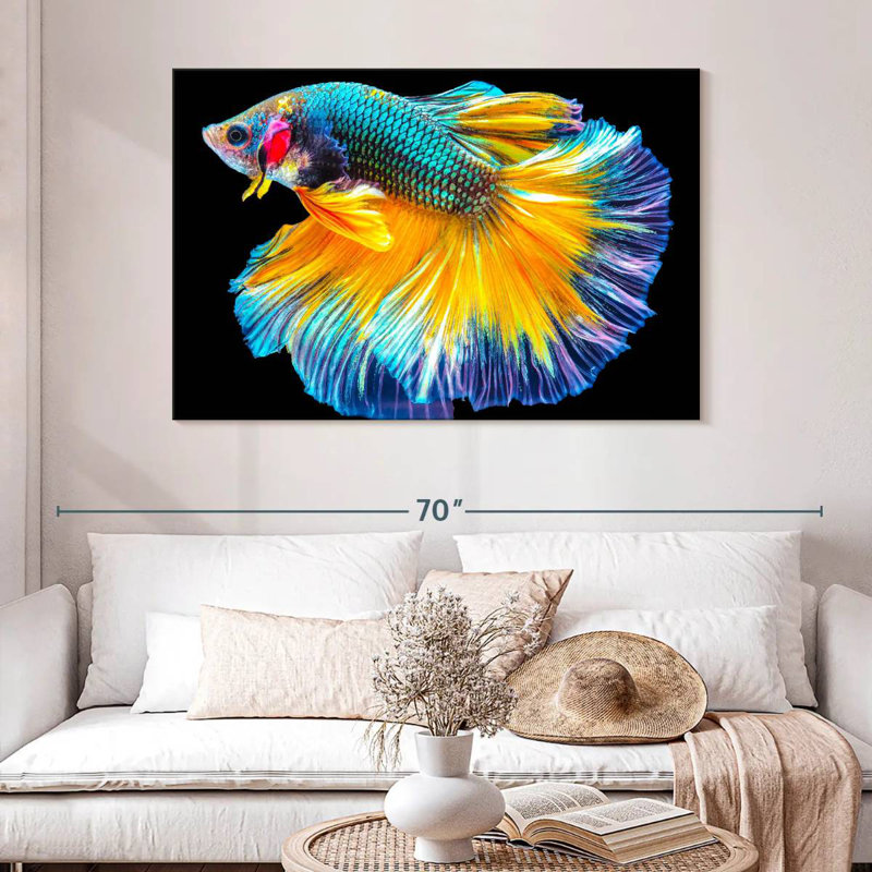 Poisson Betta Brampt multicolore, H 32 po x l 48 po