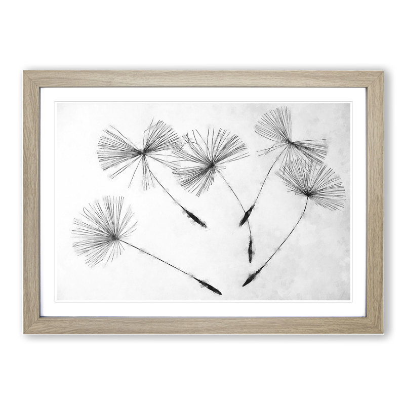 Dandelion Seeds Vol.2 - Framed Print, 27cm H x 36cm W x 2cm D, Oak Framed