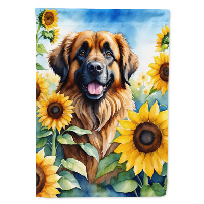 Drapeau de la maison du tournesol Malamute d'Alaska