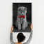 Decorative Tempered Glass Painting