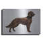«Irish Setters» par Harro Maass-1914823146