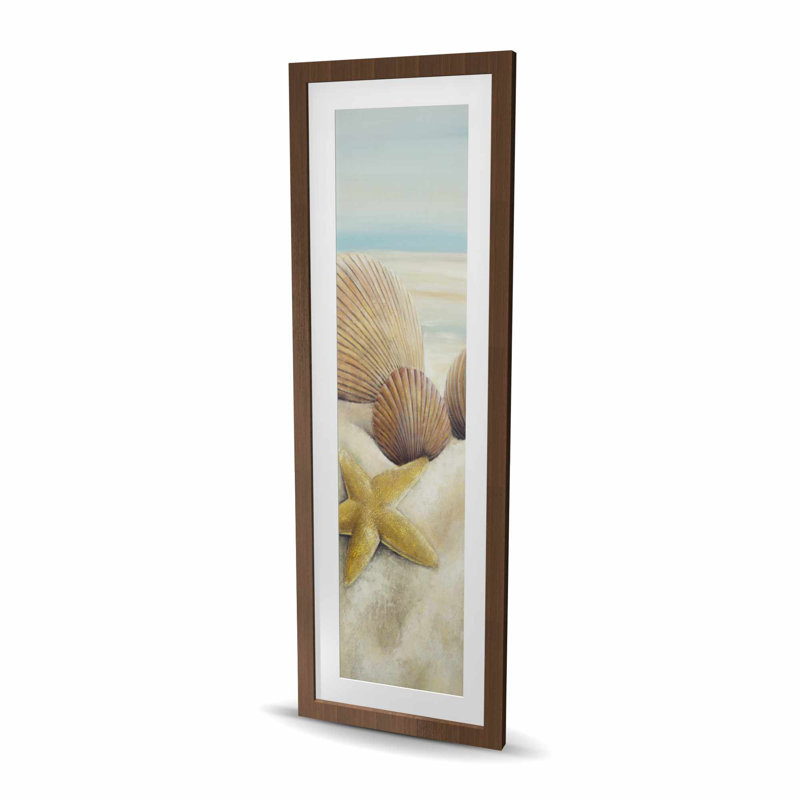 Étoile de mer et coquillages - décor de salle de bain contemporain