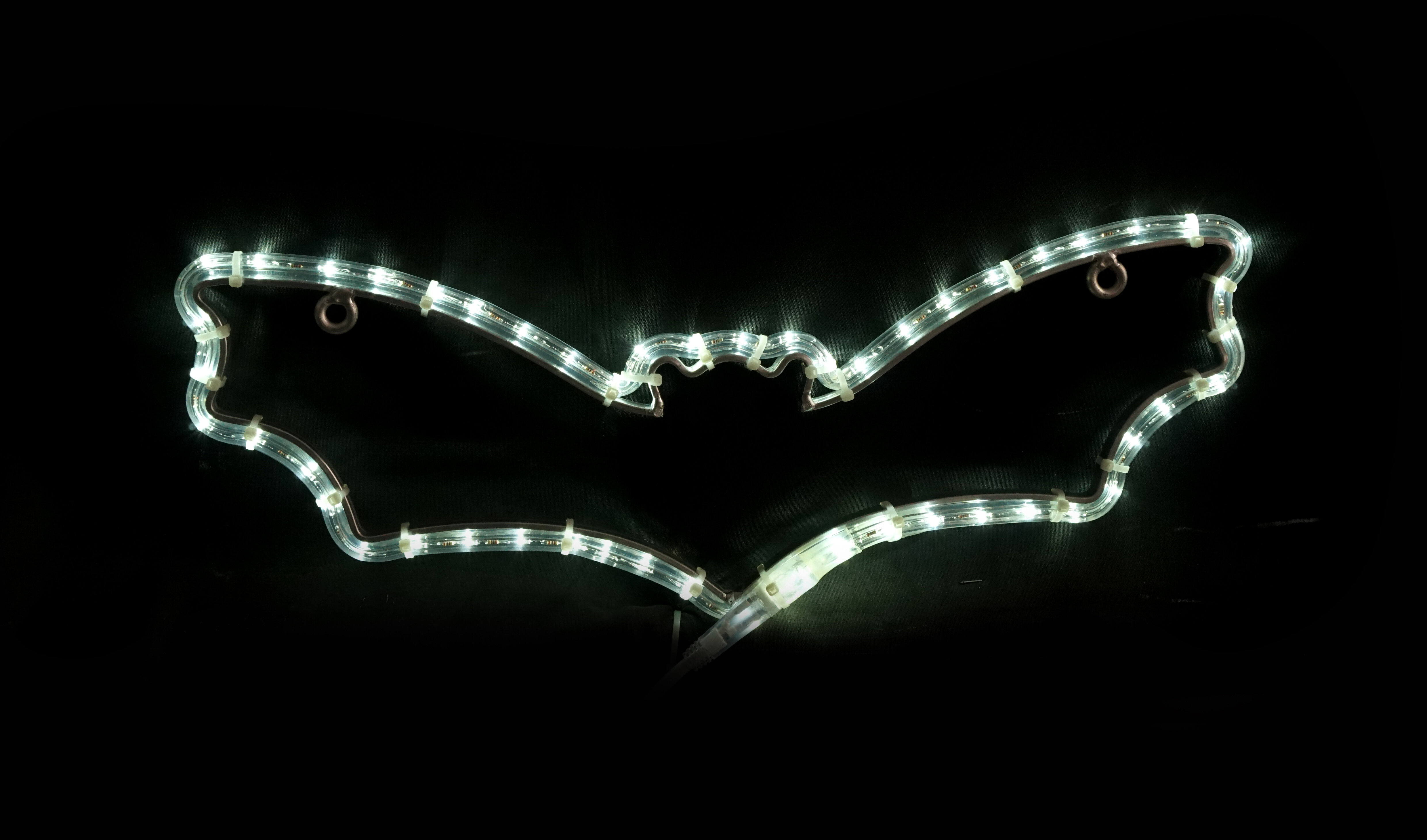 The Holiday Aisle® Bat Motif Lighted Display | Wayfair