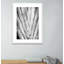 Nature II Bw Print by Erica Singleton-48619597-48619598