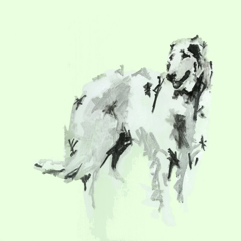 A Very Pop Modern Dog VI by Cartissi - Wrapped Canvas Painting, 30cm H x 30cm W x 3.8cm D