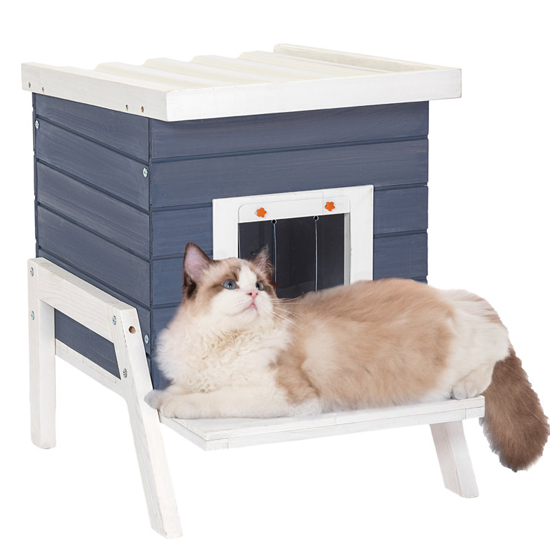 Maison pour chat Eyuel, Bleu / blanc