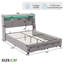 Storage Bed-2028349231
