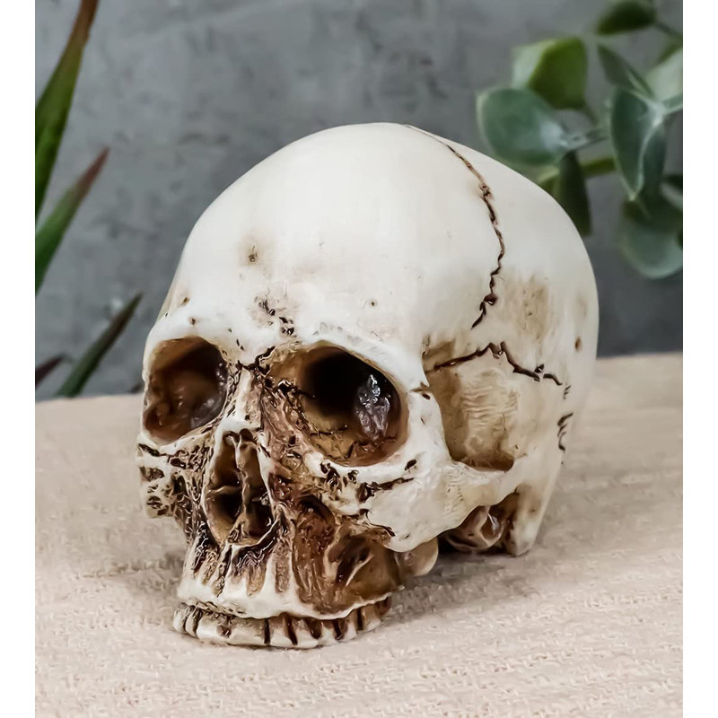 Figurine Daniellerose Homo Sapiens