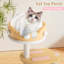 Shellman 104cm H Cat Tree