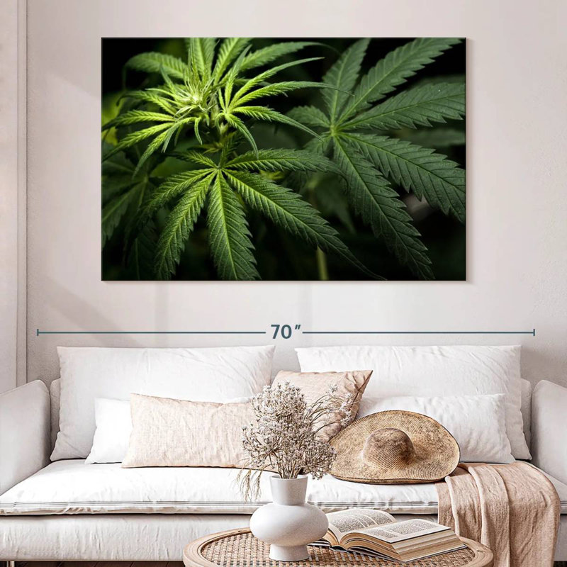 Cannabi dans le noir, H 34 po x l 51 po