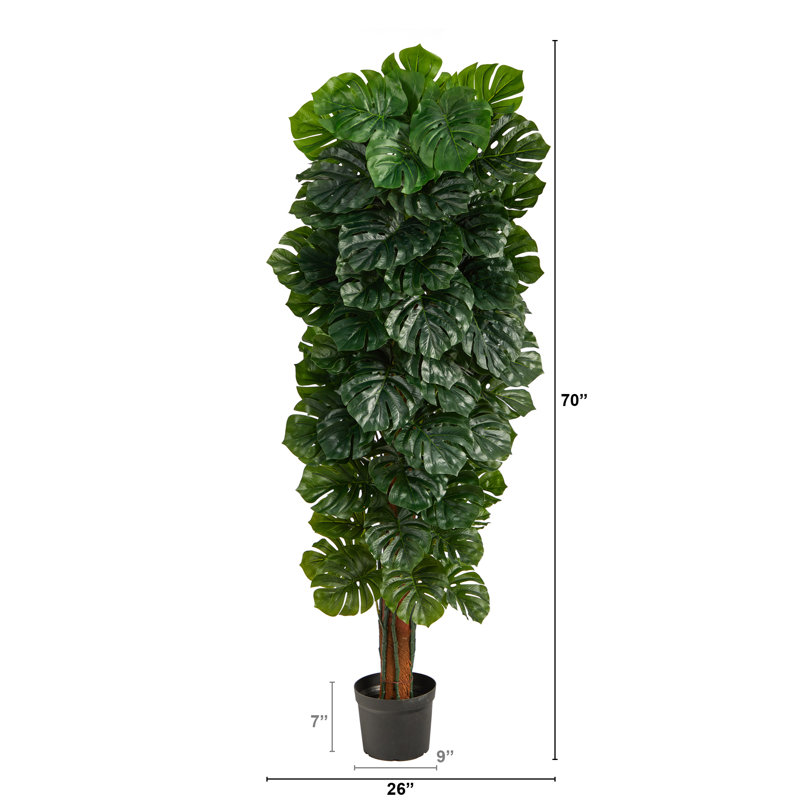 Tree in Pot Liner