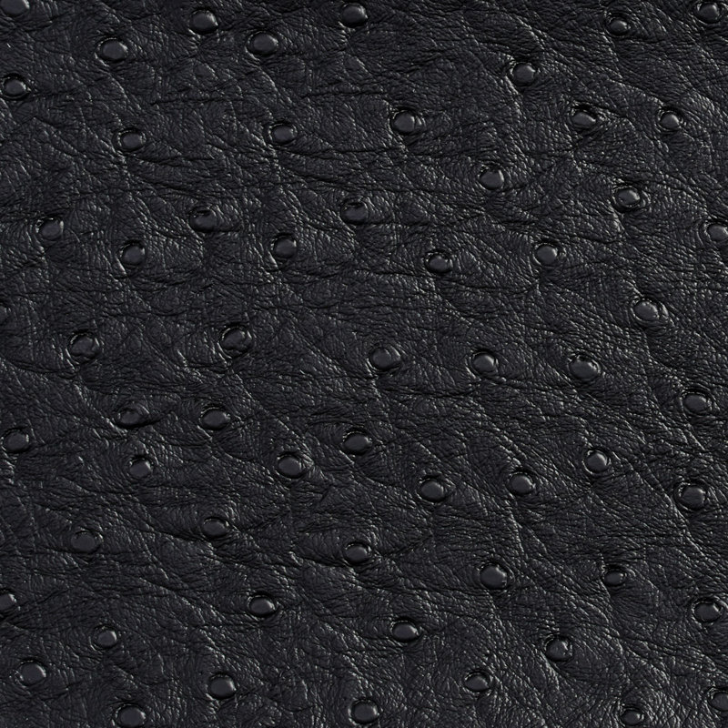 Vinyle d’extérieur autruche, Noir