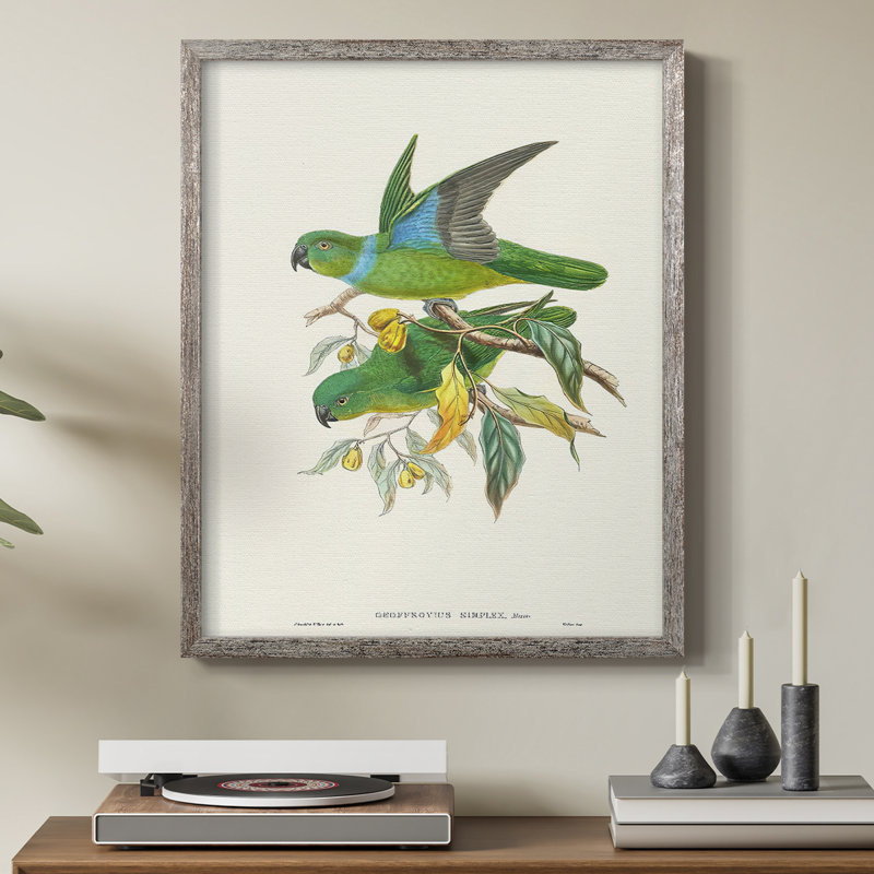 Lime & CeruleanParrots II, reproduction encadrée - bois massif, H 11 po x l 9 po