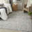 Oriental Indoor Rug-529142784
