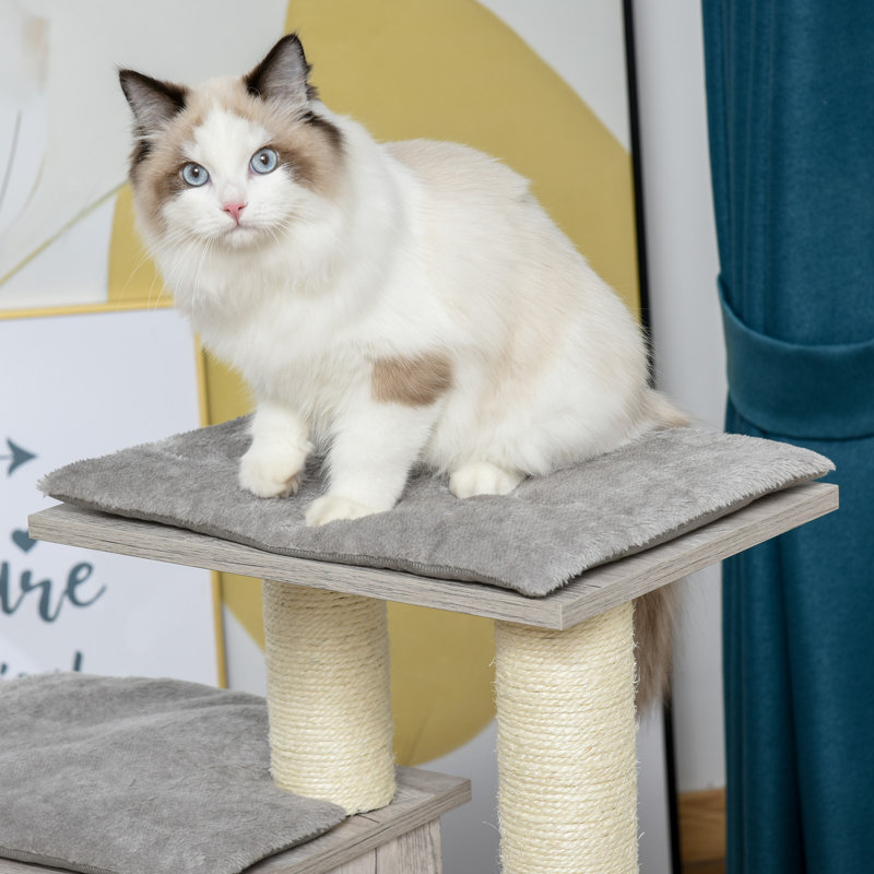 Perchoir pour chat 35 po Diboll