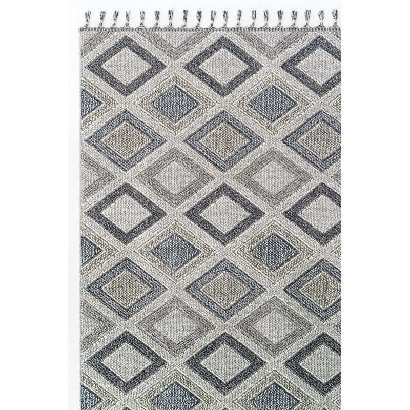 Riordain Machine Made Indoor / Outdoor Area Rug, Runner 3'3" x 16'4"