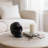 Jamyle 6" H Metal Skull Figurine Decorative Accent